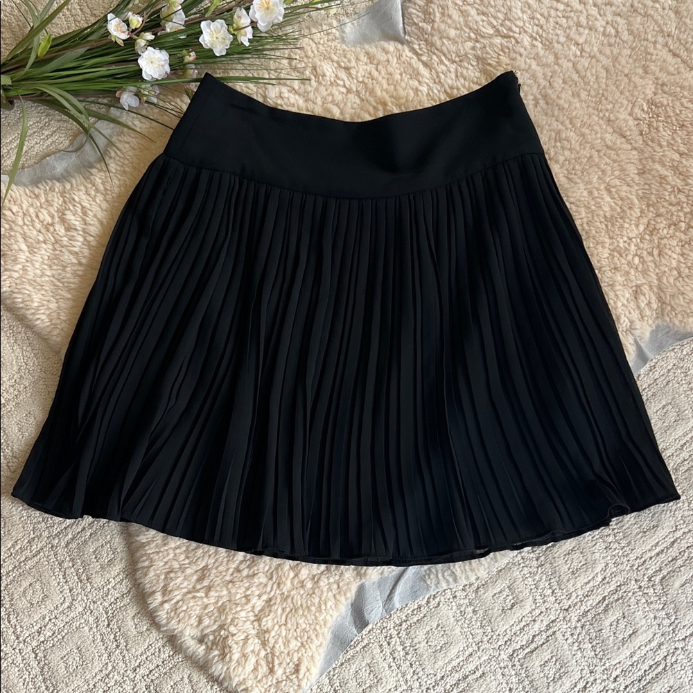 Ann Taylor Pleated Black Women's Skirt - Classic A-Line